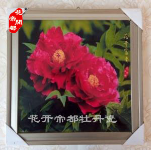 牡丹瓷壁画11